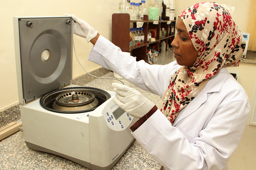 Lab technician Zeinab Abd El-Rahim Shumo operates a centrifuge, just one of several machines involved in extracting DNA from the flies. It’s a high-tech, painstaking process that takes days. 